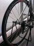 EASTON2006.1201 005.jpg